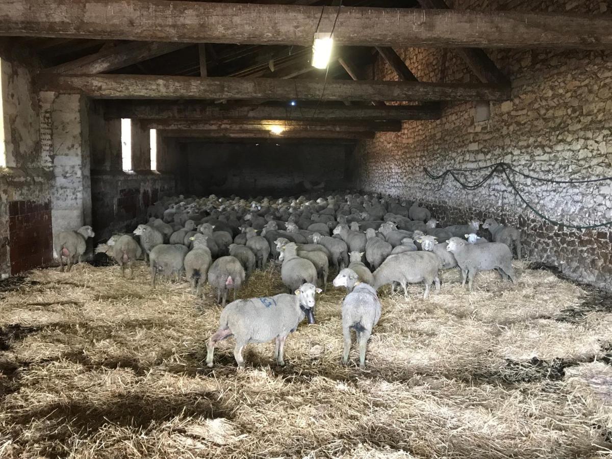 Studio A La Ferme Villa Arles Exteriör bild